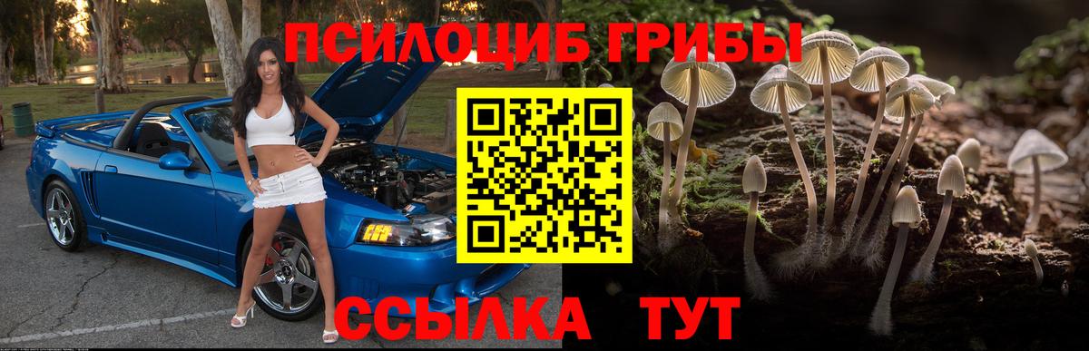 Нягань  Галлюциногенные грибы мухоморы  Вход с VPN 